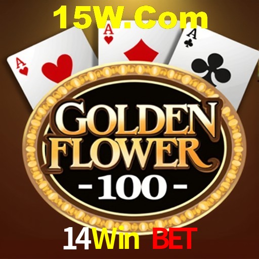 A Experiência Imersiva dos Cassinos Ao Vivo no 14Win Bet