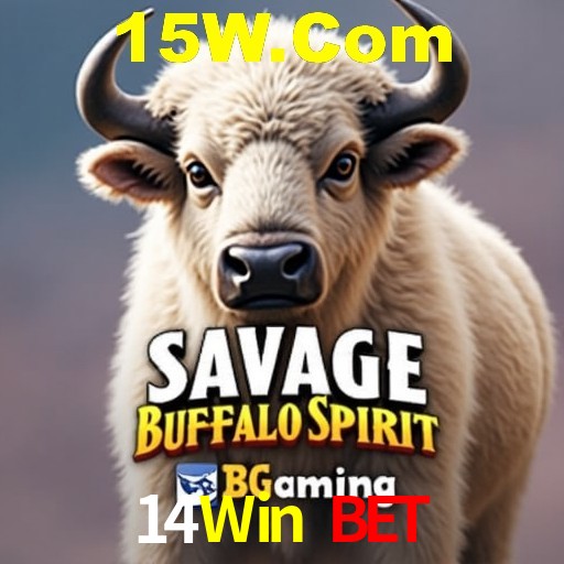 Descubra a Magia dos Jogos de Arcade no 14Win Bet